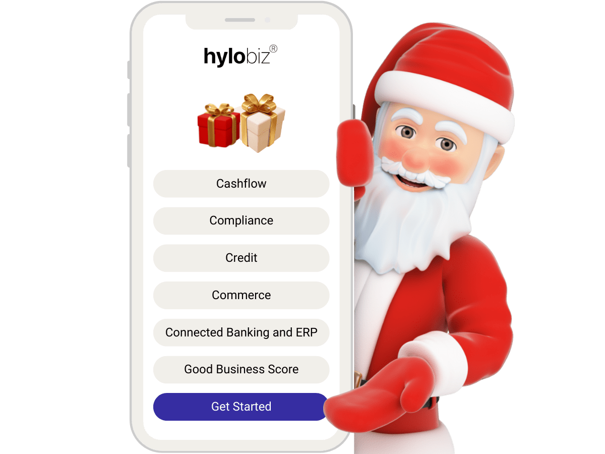 Christmas day offer on all solutions at Hylobiz