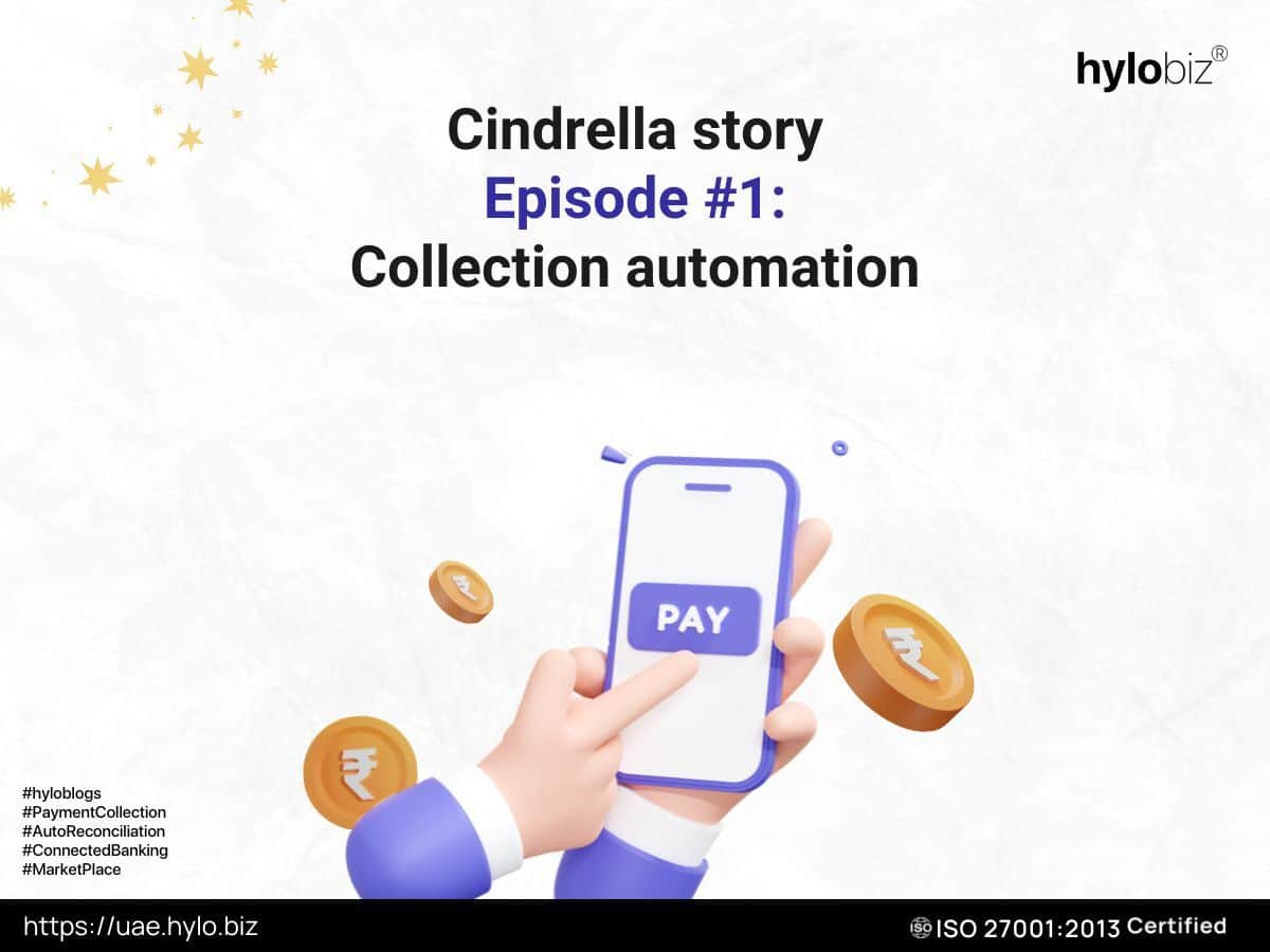 Cindrella story collection automation at Hylobiz